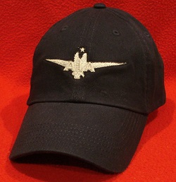 AMR Airlines Captain Pilot wings hat / ball cap