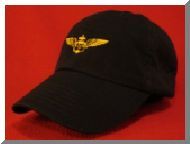 Naval Aviator wings