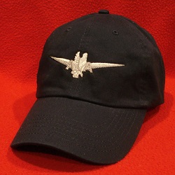 AMR First Officer Pilot wings hat / ball cap
