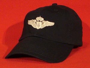 USAF Chief Flight Nurse Wings hat